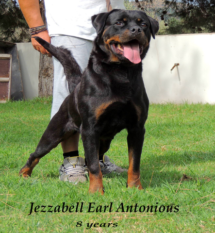 JezzaBell Earl Antonius