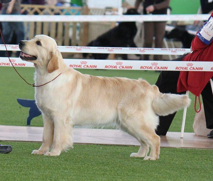Jako's Hope For The Future