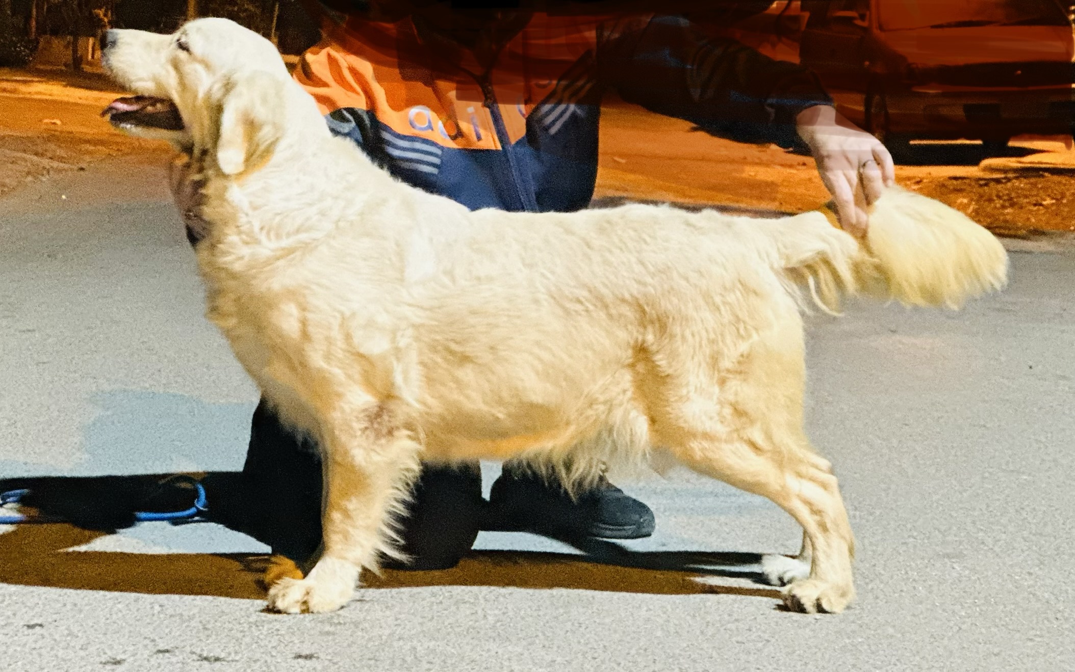 Uma de Utopia 'uma' of TM Farm